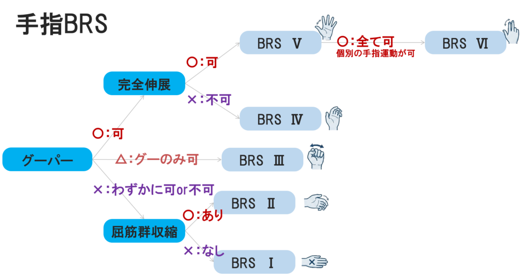 ブルンストロームステージ（Brunnstrom Stage）手指フローチャート