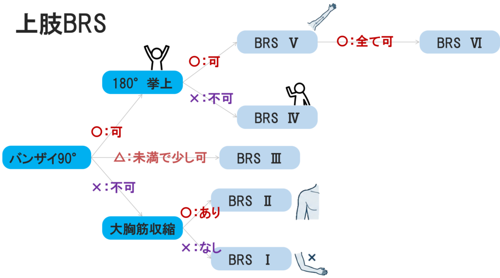 ブルンストロームステージ（Brunnstrom Stage）上肢フローチャート