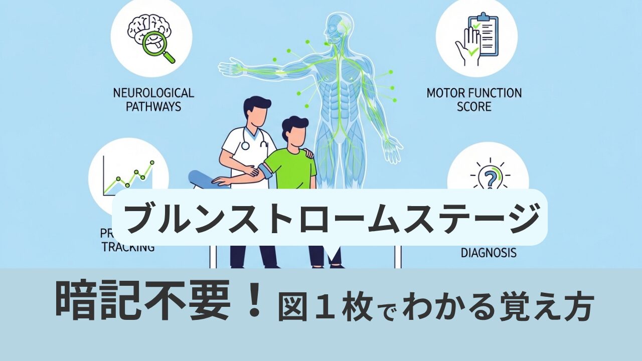ブルンストロームステージは暗記不要！図1枚でわかる覚え方 | ヤマ脳