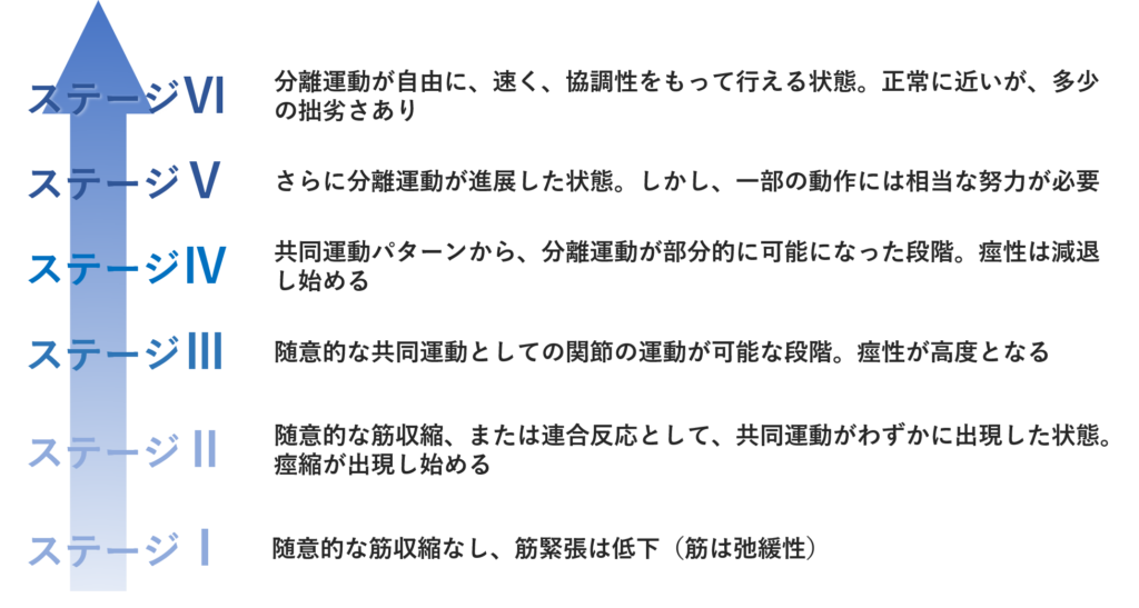 ブルンストロームステージ|各ステージの説明